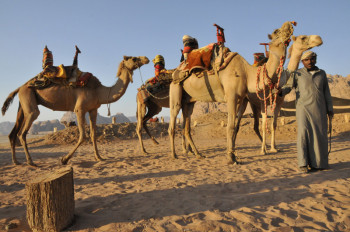 Jordanie, <br> terre de trésors légendaires